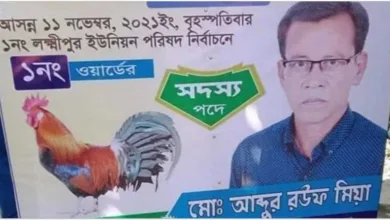 নবনির্বাচিত ইউপি সদস্যকে হত্যা