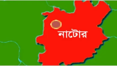 বাসের ছাদে সেলফি তুলতে গিয়ে দুই স্কুলশিক্ষার্থী আহত