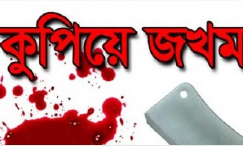 নড়াইলের আওয়ামী লীগ নেতাকে কুপিয়ে জখম