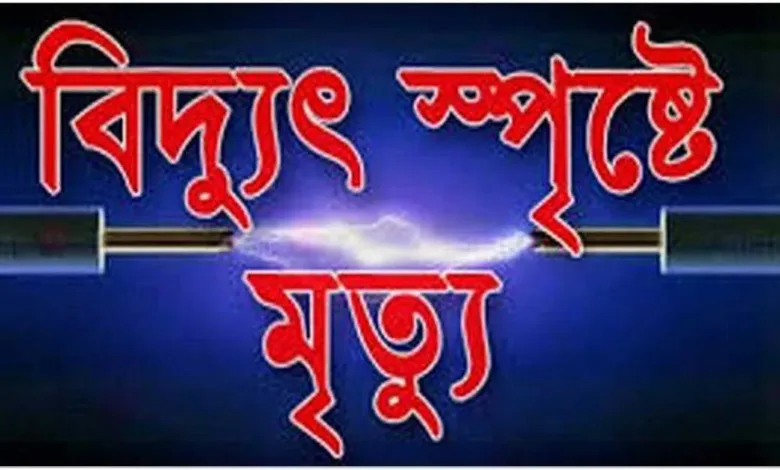 বিদ্যুৎস্পৃষ্ট সন্তানদের বাঁচাতে গিয়ের মায়ের মৃত্যু