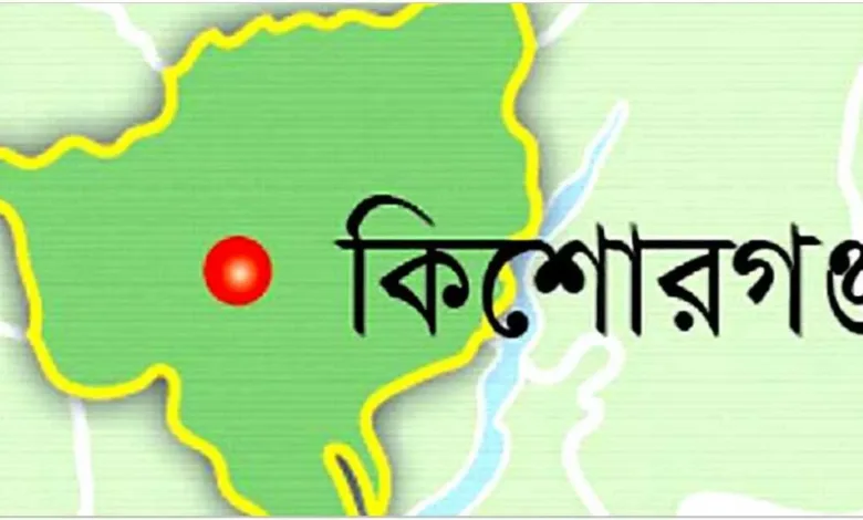 কথা কাটাকাটির জেরে ছোট ভাইয়ের হাতে বড় ভাই খুন