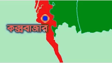 তোশকের নিচে ইয়াবা ও বন্দুক রেখে ঘুমান ছাত্রলীগ নেতা