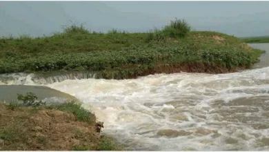 সুনামগঞ্জে টাঙ্গুয়ার হাওরের পানির চাপে বাঁধ ভেঙে গেছে