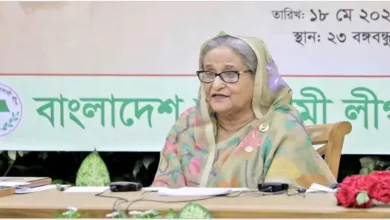 ড ইউনূসকে পদ্মা নদীতে দুটি চুবানি দিয়ে সেতুর ওপর তুলে দেওয়া উচিতঃপ্রধানমন্ত্রী