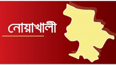 নোয়াখালীর সুবর্ণচর উপজেলায় বিয়ের কথা বলে এক তরুণীকে ধর্ষণ