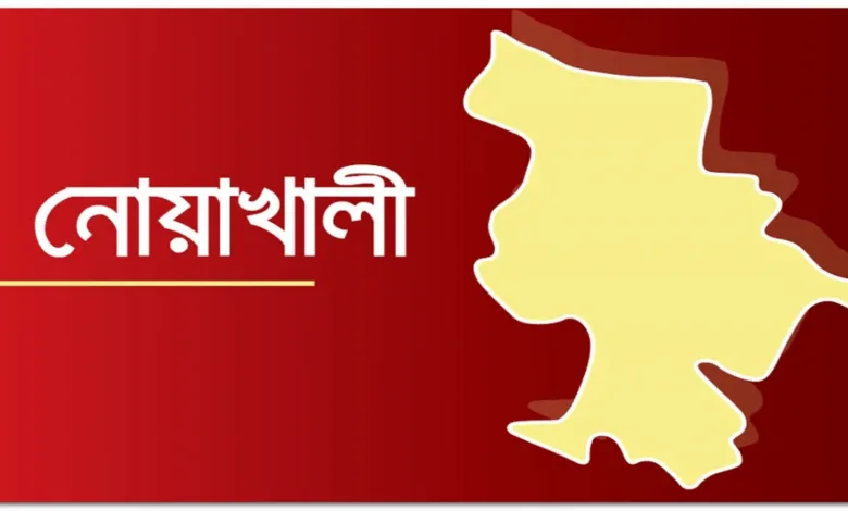 নোয়াখালীর সুবর্ণচর উপজেলায় বিয়ের কথা বলে এক তরুণীকে ধর্ষণ