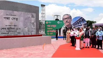 পদ্মা সেতুর উদ্বোধনী কার্যক্রম শেষ করার পরই পদ্মা সেতুতে হাজারও উচ্ছ্বাসিত মানুষ ভিড়