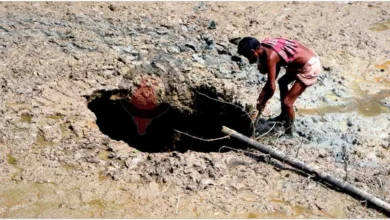 বগুড়ার কাহালুতে ২০০ কেজি মাছসহ গলাসমান পানি নিমিষেই উধাও