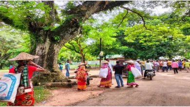 ১২০ টাকাতেই কাজে ফিরছেন চা শ্রমিকেরা প্রধানমন্ত্রীর প্রতি আস্থা রেখে