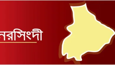 নরসিংদী