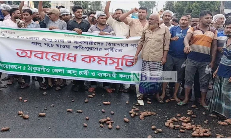 পচে যাওয়া আলু মহাসড়কে ঢেলে প্রতিবাদ ও ক্ষতিপূরণ দাবি