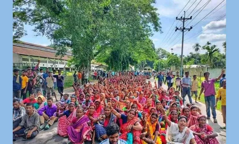 প্রধানমন্ত্রীর ছাড়া শুনতে নারাজ চা শ্রমিকরা