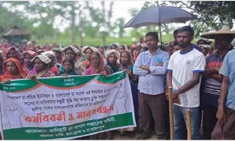 মজুরি বাড়ানোর দাবিতে চা–শ্রমিকদের আন্দোলনের মধ্যে আবির্ভাব নতুন সংগঠনের