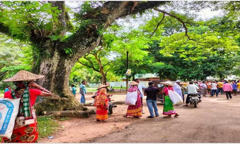 ১২০ টাকাতেই কাজে ফিরছেন চা শ্রমিকেরা প্রধানমন্ত্রীর প্রতি আস্থা রেখে