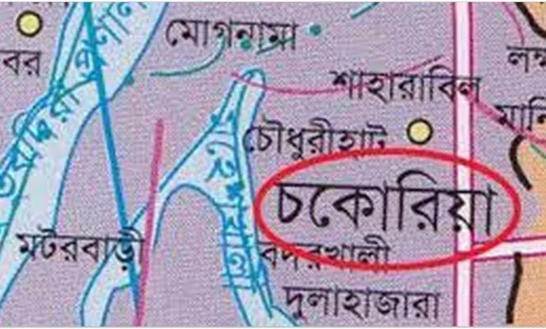 চিকিৎসাবিদ্যায় ডিগ্রি না থাকলেও তাঁরা অন্তঃসত্ত্বা নারী ও শিশুদের চিকিৎসা করেন