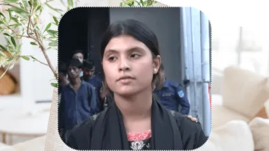 বিয়ে পাগলি