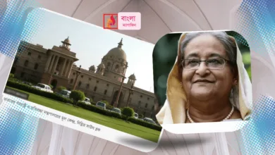 আ লীগকে সমর্থন দেয়ায় ভারতের বিরুদ্ধে ক্ষোভ বিএনপির শেষপর্ব