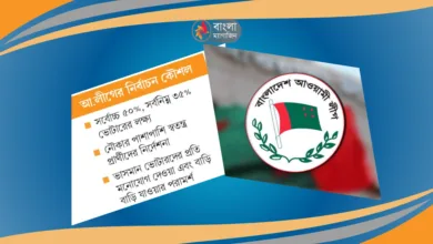 দ্বাদশ সংসদ নির্বাচন জয়ের চেয়ে বেশি চাপ ভোটার আনা