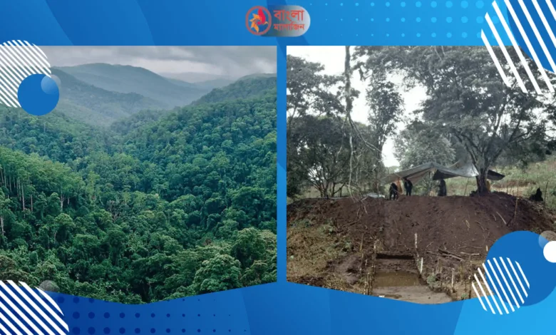 আড়াই হাজার বছরের পুরোনো শহরের সন্ধান আমাজনের গহীন বনে