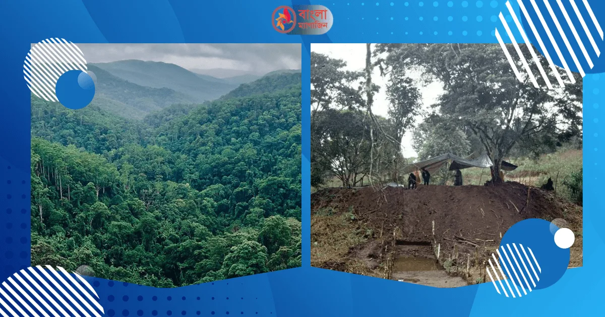 আড়াই হাজার বছরের পুরোনো শহরের সন্ধান আমাজনের গহীন বনে