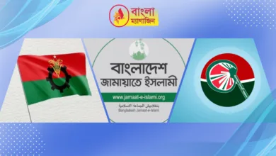 উপজেলা নির্বাচনেও অংশ নেবে না বিএনপি ও বিএনপিপন্থিরা