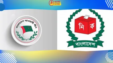 দলীয়ভাবে স্থানীয় সরকার নির্বাচন করবে না আওয়ামী লীগ কেনো