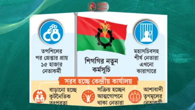 বিএনপির নতুন পরিকল্পনা ও কৌশল কি