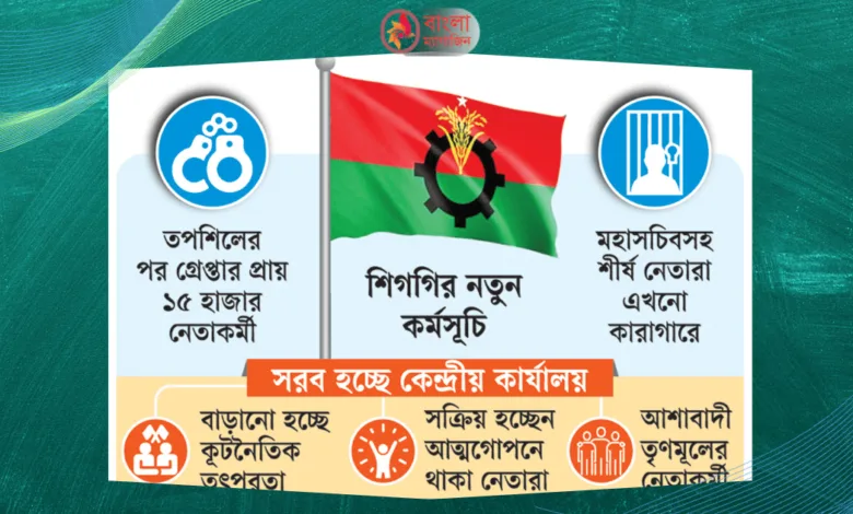 বিএনপির নতুন পরিকল্পনা ও কৌশল কি