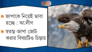 বিরোধী আসনে বসতে রাজি নয় স্বতন্ত্ররা