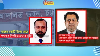 ৩০ ব্যবসায়ী ২০ হাজার কোটি টাকা নিয়ে বিদেশে পালিয়েছে