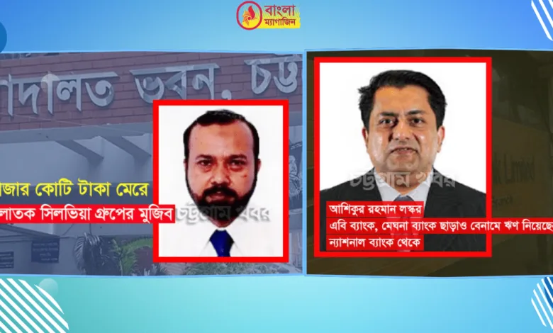 ৩০ ব্যবসায়ী ২০ হাজার কোটি টাকা নিয়ে বিদেশে পালিয়েছে