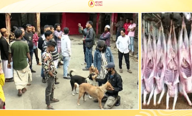 বরিশালে কুকুরের মাংস বিক্রি মাংসের দোকানে হাতেনাতে ধরা